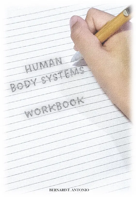 Cover of Human Body Systems Workbook